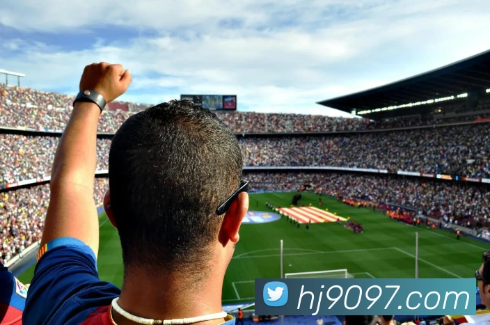 奖项证书